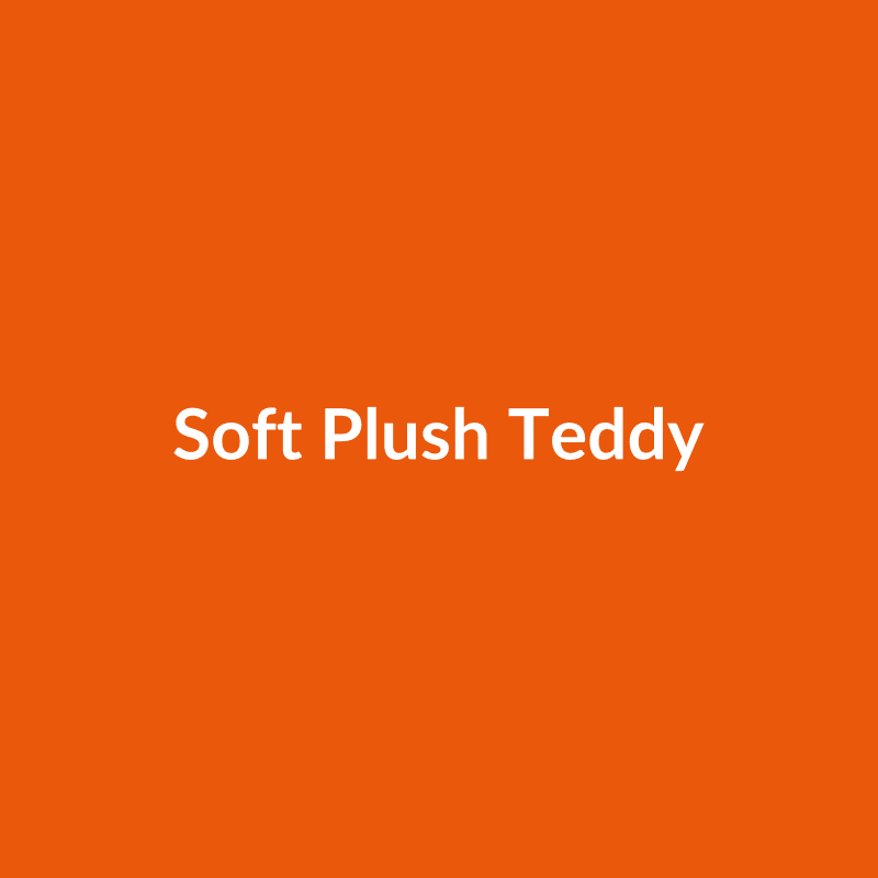 Soft Plush Teddy